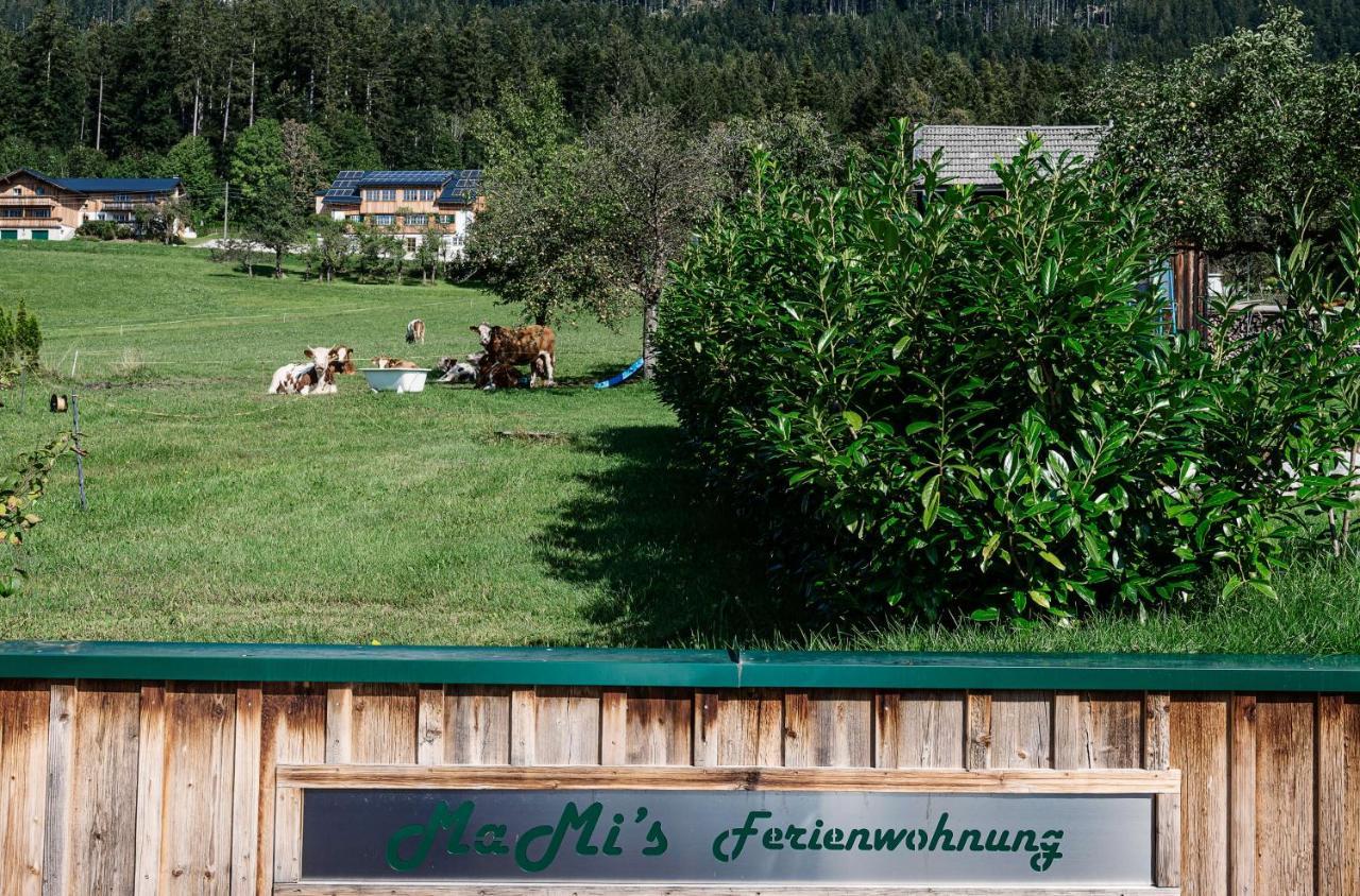 Ferienwohnung Grundlsee, Willkommen In Mami'S Ferienwohnung エクステリア 写真